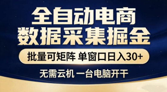 独家电商数据全自动采集项目，批量可矩阵，单窗口轻松日入3张+【揭秘】|网坠金库