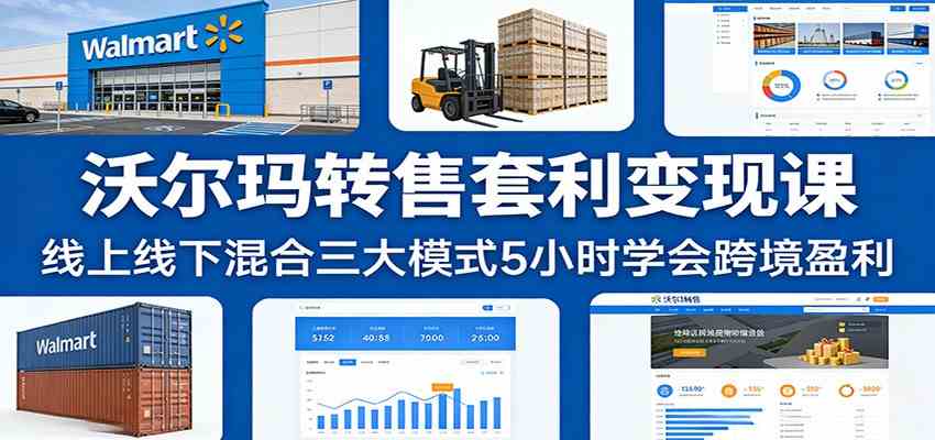 沃尔玛转售套利变现课：线上线下混合三大模式5小时学会跨境盈利|网坠金库