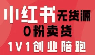 小红书无货源0粉电商课，开店准备、选品策略、笔记撰写、视频剪辑、数据分析、账号打造、资料文档（更新26年2月）|网坠金库